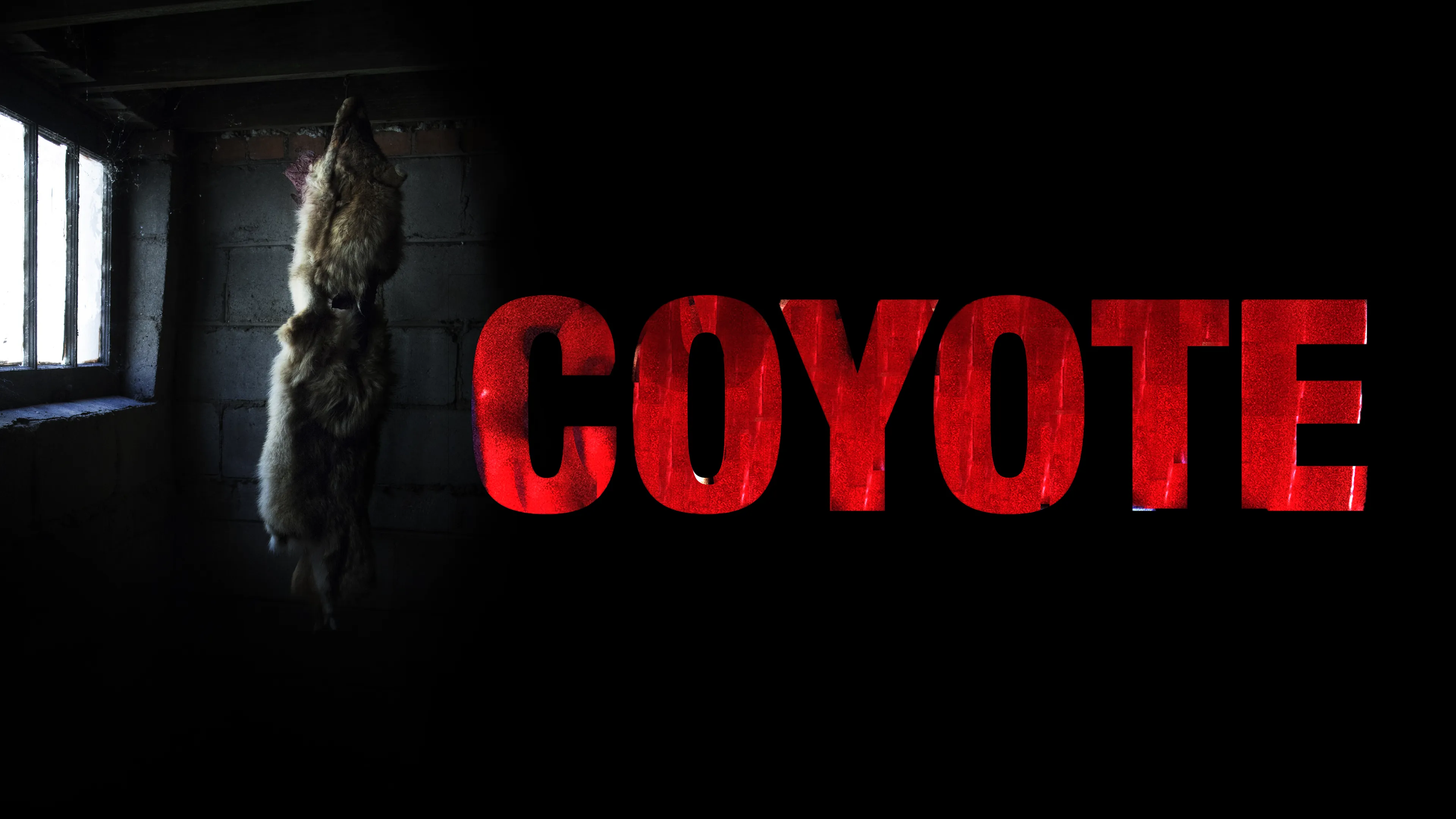 Coyote poster